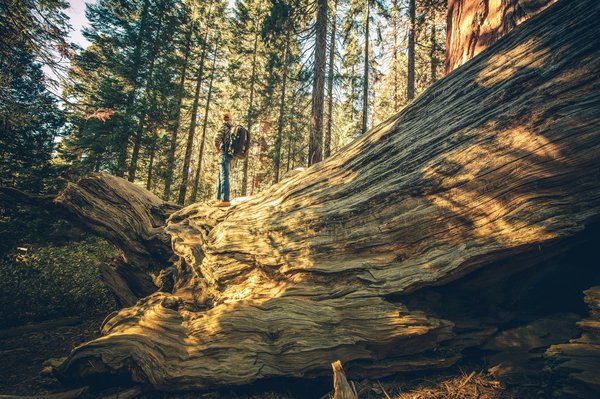 Comment explorer les temples anciens de Kyoto, Japon : itinéraires et recommandations ?